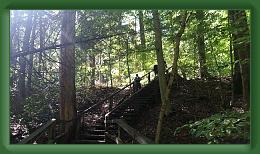 Scoutmasters Surprise (19) * 5312 x 2988 * (3.77MB)